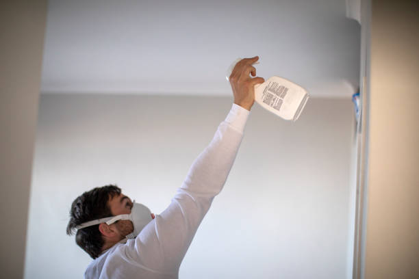 Best Affordable Mold Removal  in Drexel, OH