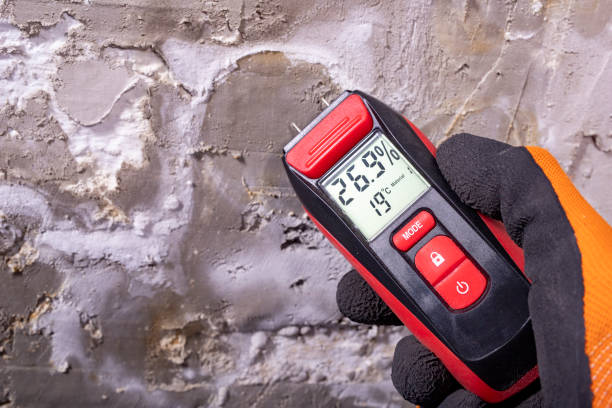 Best Best Mold Removal Companies  in Drexel, OH