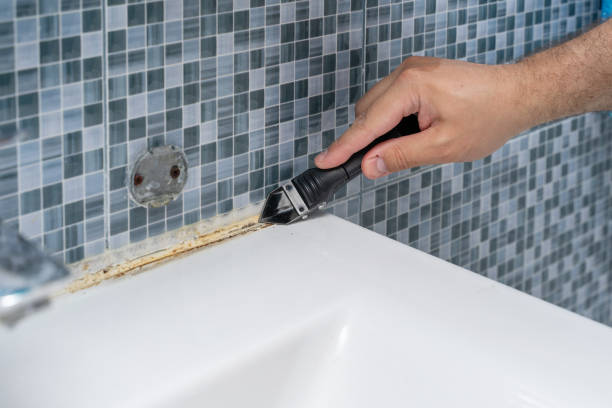 Best Mold Cleaning Services  in Drexel, OH
