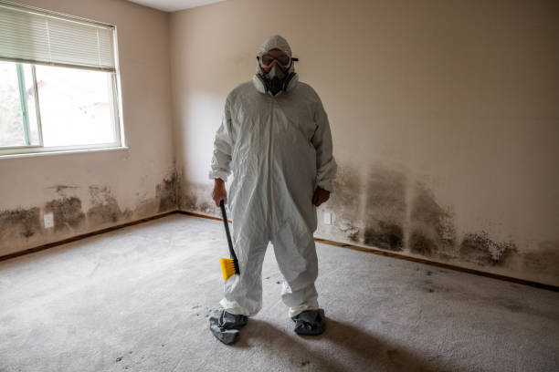 Best Commercial Mold Removal  in Drexel, OH